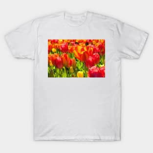 Mass of Tulips T-Shirt